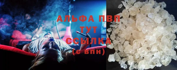 индика Баксан