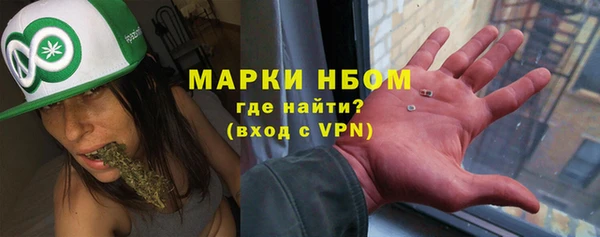 индика Баксан