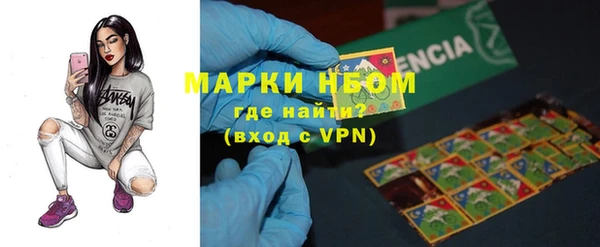 индика Баксан