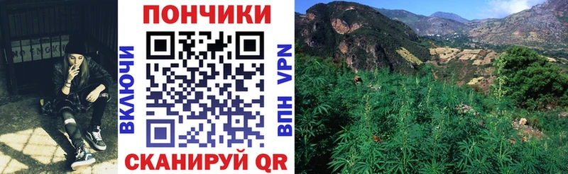 МАРИХУАНА тримм  Лодейное Поле 